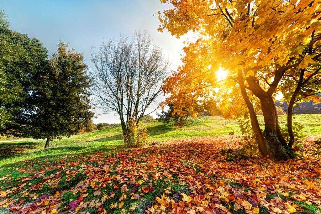 L’automne en camping-car